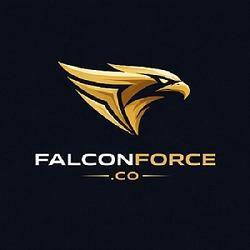 Digital Marketing Services In Ludhiana - Falcon Force