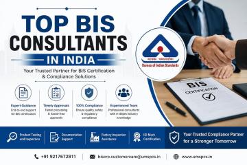 Top BIS Consultants in India