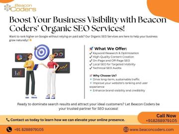 Boost Your Business with Organic SEO Services in Ghaziabad