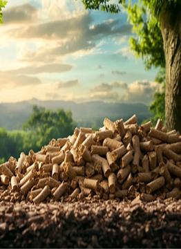 Best Quality Biomass Pellets Manufacturers in Punjab