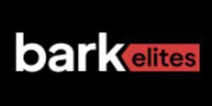 Professional SEO Services | Rank Higher & Grow Faster with Bark Elites