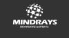 Top SEO & Branding Company in Delhi – MindRays Branding Experts