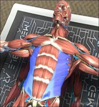 Augmented Reality Tools for Anatomy Education