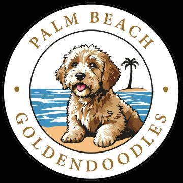 Palm Beach Goldendoodles