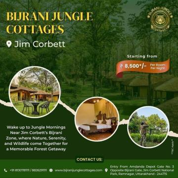 Adventure Filled Camping in Jim Corbett for Nature Lovers