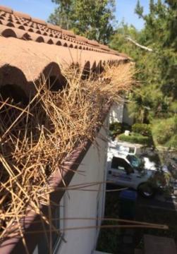 Aluminum Screen Doors in Laguna Beach