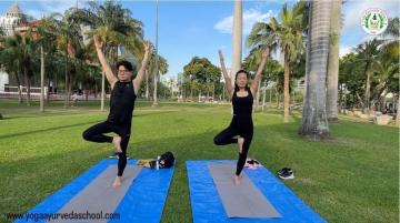 Online Yoga Teacher Training for Beginners and Professionals
