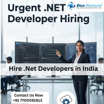 Hire .Net Developers in India