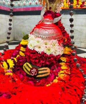 Pandit Ji for Kaal Sarp Dosh Puja Ujjain and Mangal Bhat Puja Ujjain