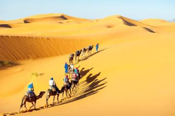 Discover Rajasthan with a Desert Safari in Jaisalmer