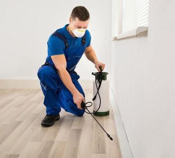 Thousand Oaks Termite Spraying