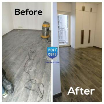 Office Pest Control in Delhi NCR | Pestcure