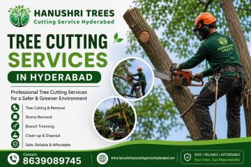 Safe and Reliable Tree Removal Services in Hyderabad