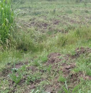 1,100 Acres for Sale in Laikipia North, Rumuruti KENYA Ksh. 200K/Acre