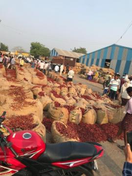 Sunanda Foods & Spices - Premium Spices Manufacturer & Suppliers