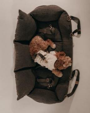 Premium Dog Car Seat for Safe & Comfortable Travel | Silver Circle Pets