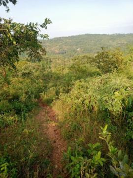 10,000 Acres for Sale in Kajiado County, Kajiado West, Kenya Ksh. 300,000/Acre