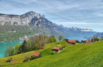 Limousine Service Basel | Traserbas