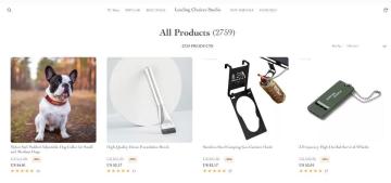 leadingchoicesstudio.shop 10% Offer All Products
