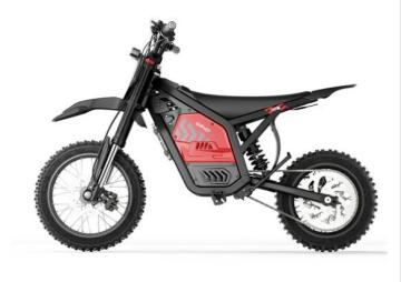 Personal Electric Vehicle Sales & Service | WYRDRYDS