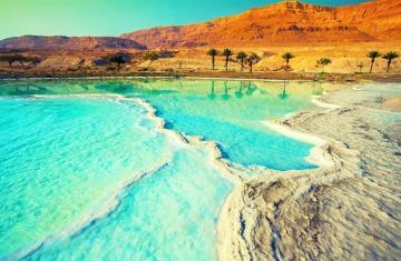 Check Israel Visa Status Online | India to Israel Visa Application Tracking