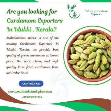 Are you looking for Cardamom Exporters In idukki , kerala? - Mahalakshmi spices
