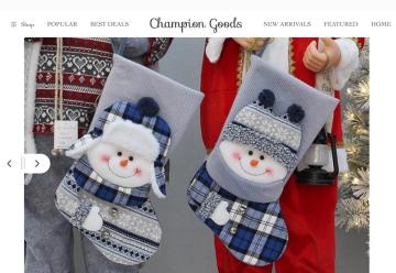 10% OFF Entire Order On Champion Goods