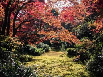 Japan Tour Packages I Compared Before Booking My Trip