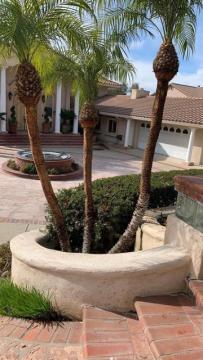 Lorenzo's Tree Services Ontario CA