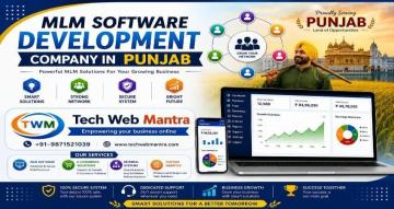 Professional MLM Software Company in Punjab for Growing Network Marketing Businesses
