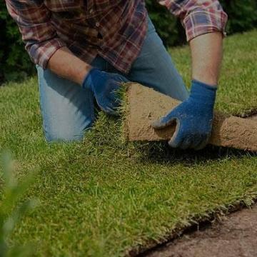 Lawn fertilization services Williamsburg, VA