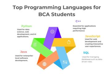 Top Programming Languages for BCA Students