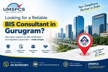 Where Can You Find a Reliable BIS Consultant in Gurugram?