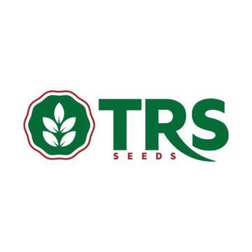 Choose Suitable Hybrid Tomato Seeds for Gujarat Farms
