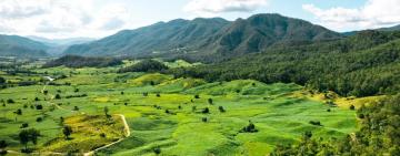 Best Hostel in Anjuna