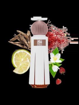 Luxury Perfume Store for Long-Lasting Scents | Scentyes