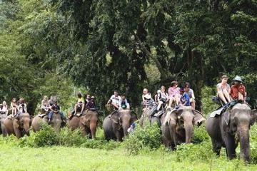 Small Group Tours to India | Curated Cultural & Adventure Journeys