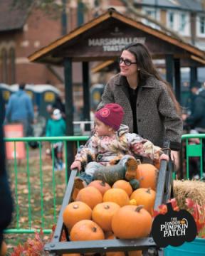 London Pumpkin Patch