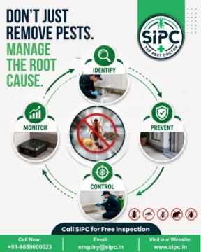 Rodent Control Chennai | Pest And Rodent Control Near Me | SIPC