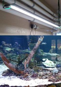 Energy Efficient Lighting Retrofit Near Tustin