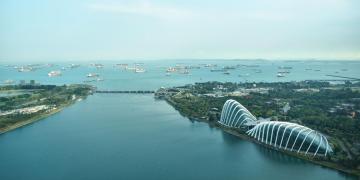 Saved After Reviewing a Cheap Singapore Tour Package