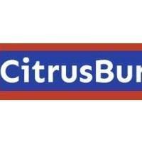 Is Citrus Burn Legit or Scam? Honest Insights