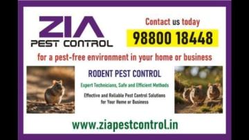 Zia Pest Control | 100% Safe Pest Service | Affordable pest Charges | 366