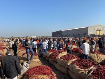 Sunanda Foods & Spices - Premium Spices Manufacturer & Suppliers