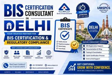 BIS Consultants in Delhi