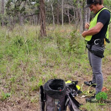 Rooted In Texas Tree Care