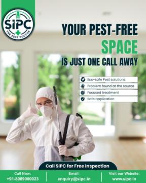 Best pest control services in Bangalore