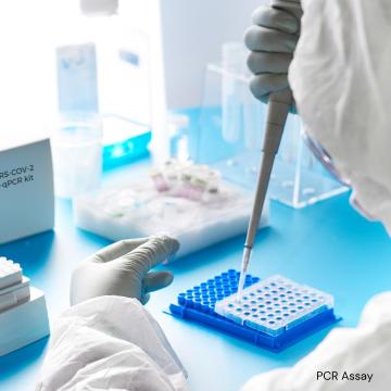 PCR Reagent Manufacturer – Custom Assays & Measles Detection