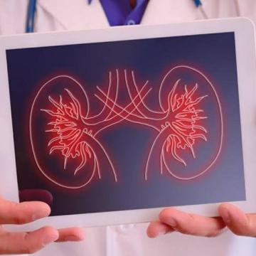 Best Kidney Specialist Near Hyderabad | Dr Vaishnavi Pochineni