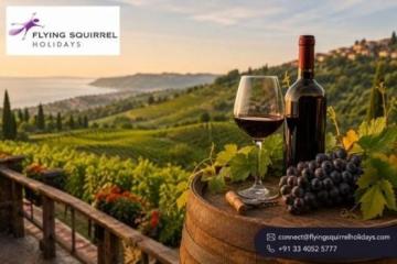 Beyond the Bottle: Curated Luxury Wine Escapes Across the Globe